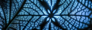 The Rise of Evidence-Led Commercialization