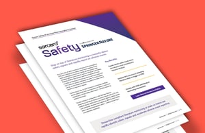 Sorcero Safety