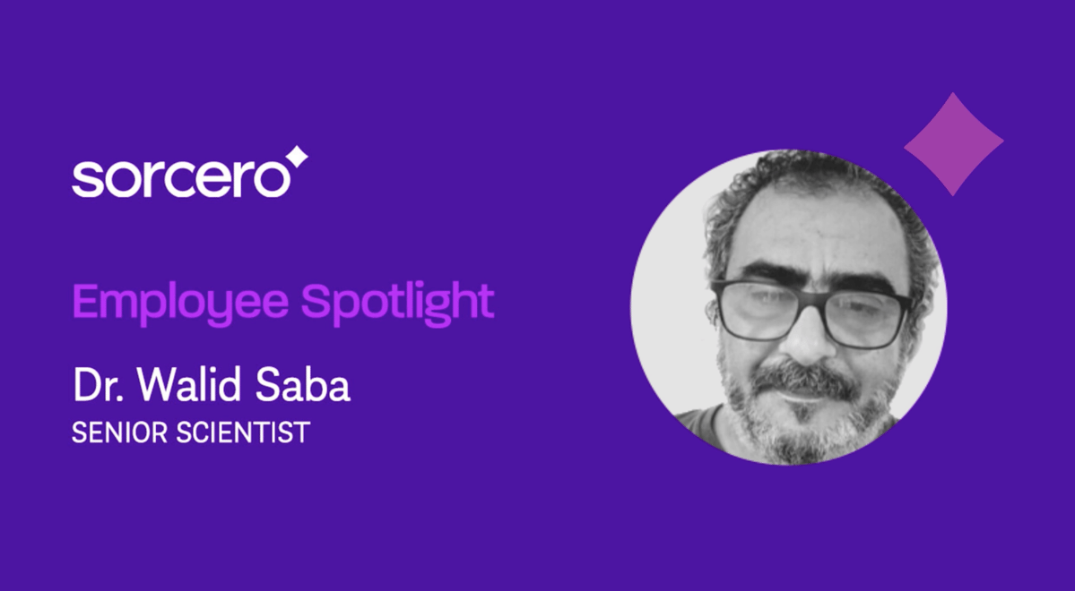 Walid Sabrou Sorcero Employee Spotlight: Dr. Walid Saba