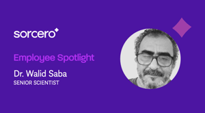 Employee Spotlight: Dr. Walid Saba